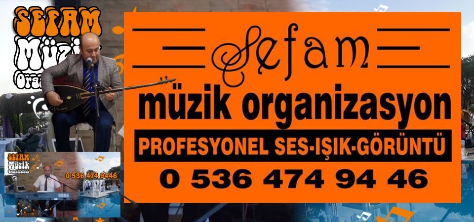 Profesyonel Ses-Işık- Görüntü Sistemleri 